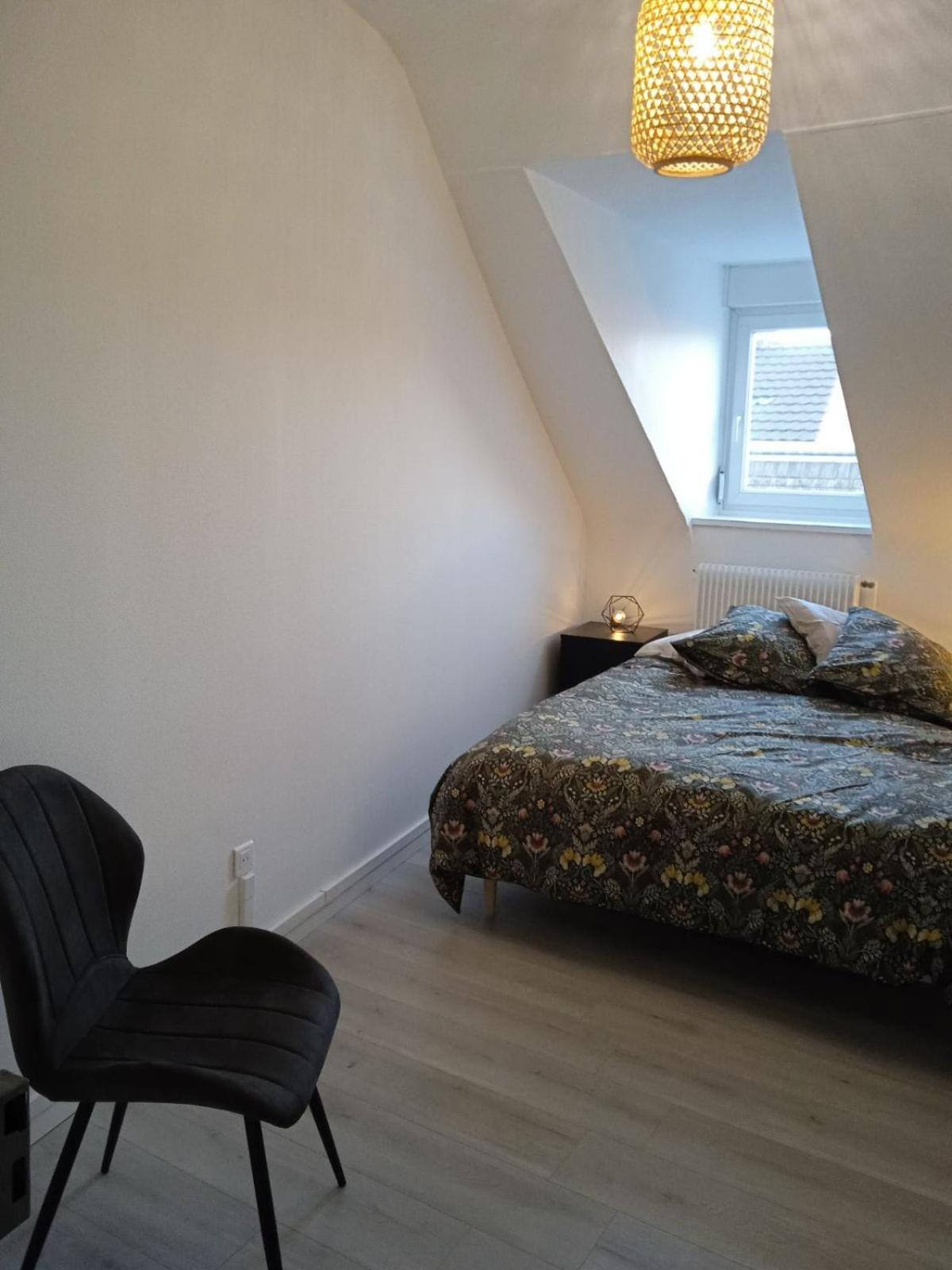 La Mulhousienne F3 Centre Ville Mulhouse Eksteriør billede