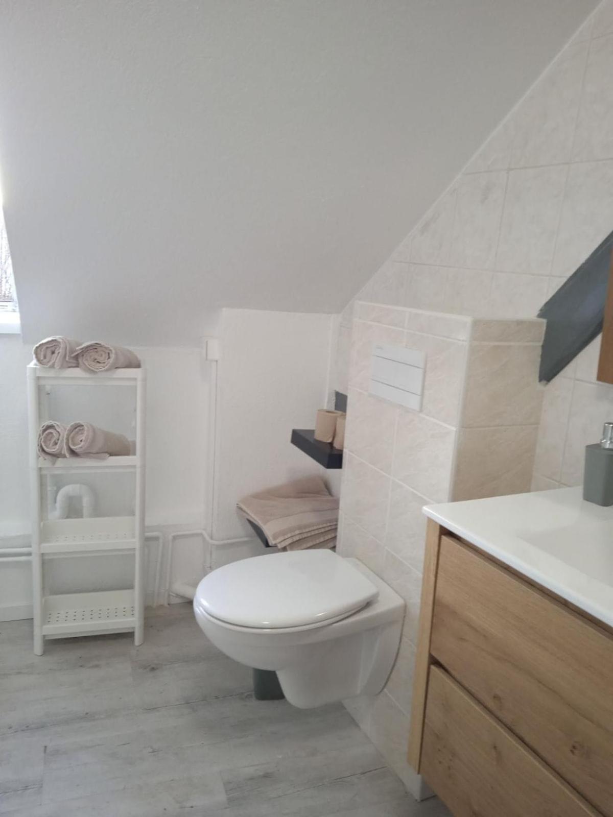 La Mulhousienne F3 Centre Ville Mulhouse Eksteriør billede